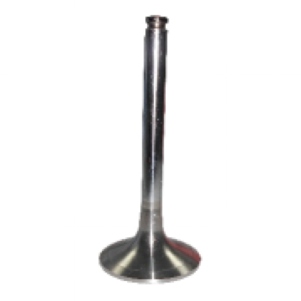 SA 422 050 0226 (Engine Valve) SA 422 050 0226 (Engine Valve)